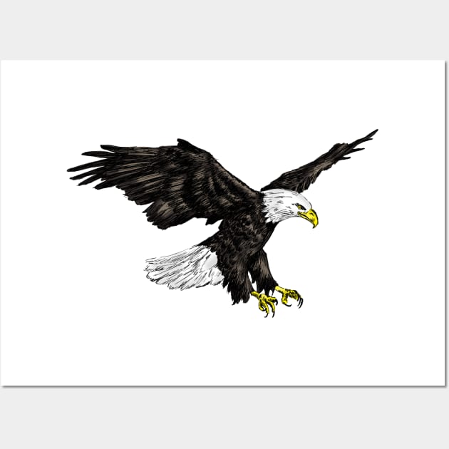 Bald Eagle Print Wall Art by rachelsfinelines